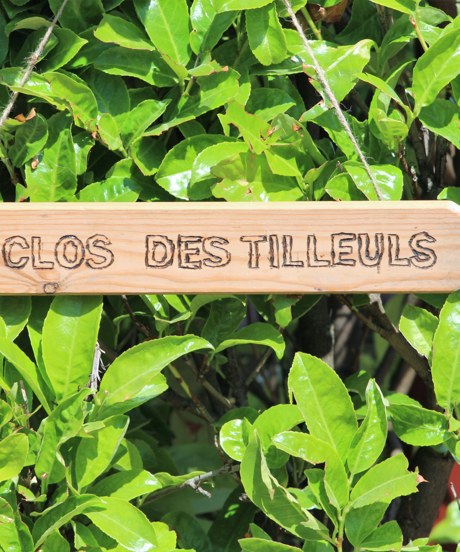 2019_06_G_Inauguration du clos des Tilleuls_000a